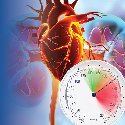 Southern California Hypertension Symposium Banner